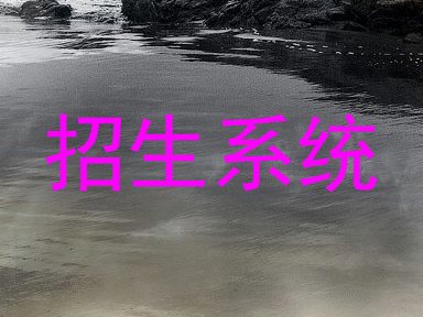 招生系统