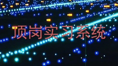 顶岗实习系统