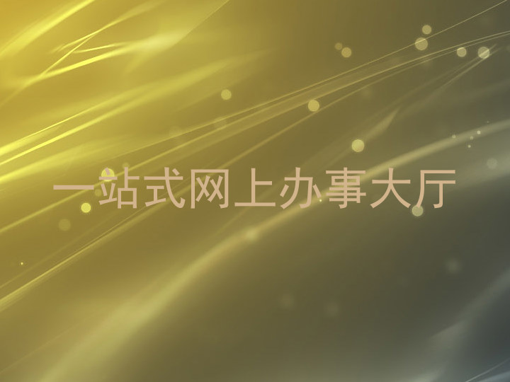 一站式网上办事大厅