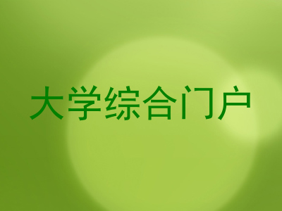 大学综合门户