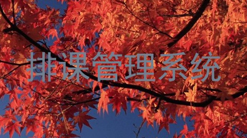 排课管理系统