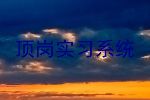 顶岗实习系统
