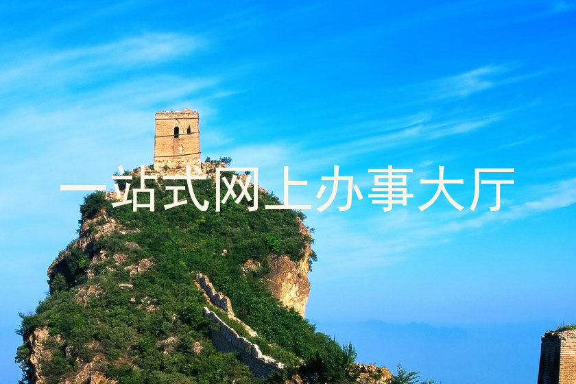 一站式网上办事大厅