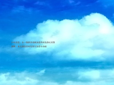 UIAS选型:从一线使用者视角看高校信息化决策
摘要:本文围绕高校信息化选型中的核