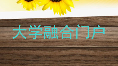 大学融合门户