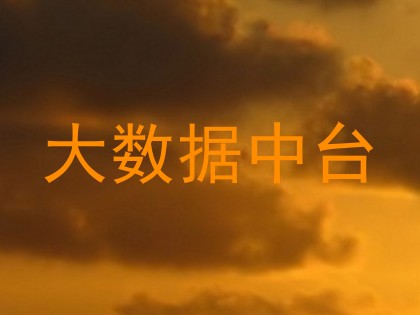 大数据中台