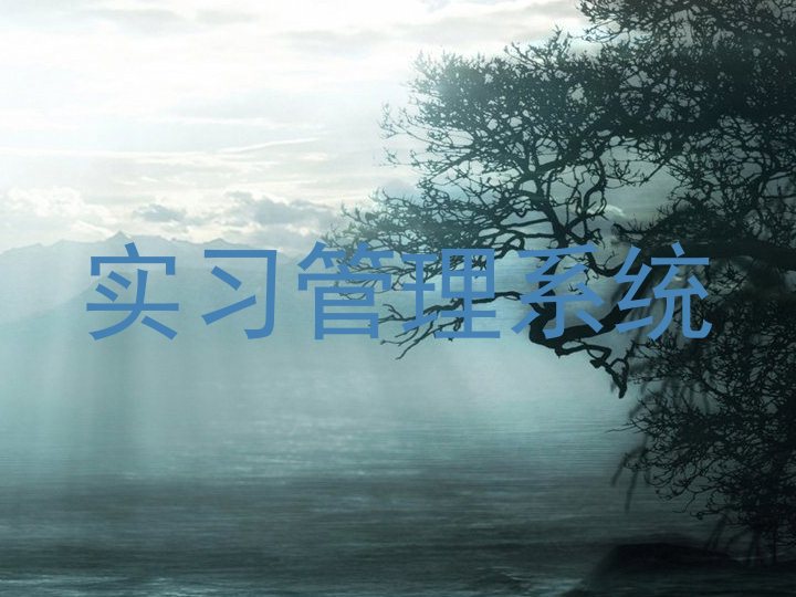 实习管理系统