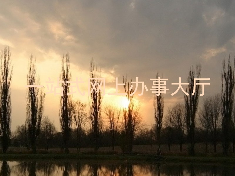 一站式网上办事大厅