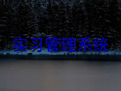 实习管理系统
