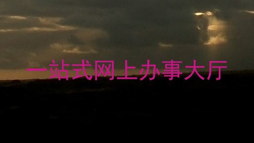 一站式网上办事大厅