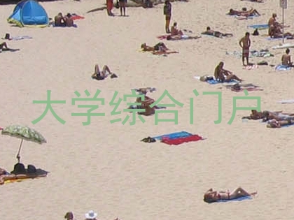大学综合门户