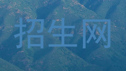 招生网