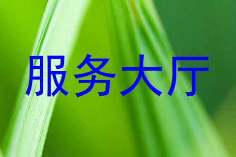 服务大厅