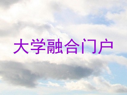 大学融合门户