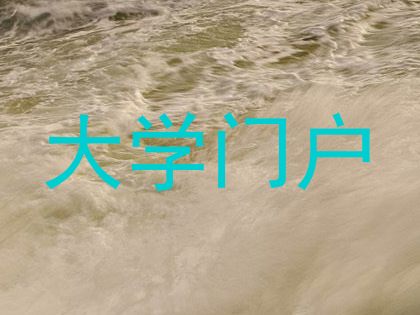 大学门户