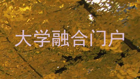 大学融合门户