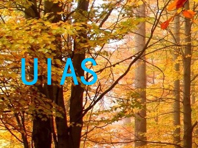 UIAS