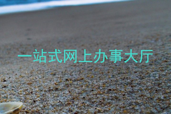 一站式网上办事大厅