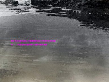教务老师如何高效应对排课管理系统中的时间冲突问题
## 一、排课管理系统的核心功能与使用场景