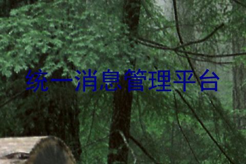统一消息管理平台