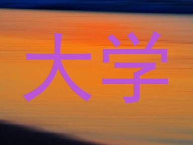 大学