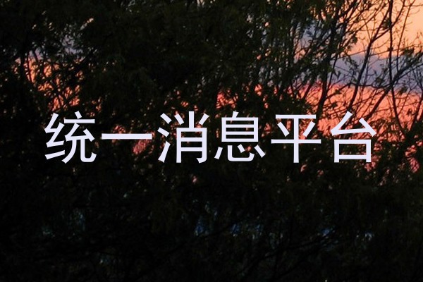 统一消息平台