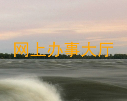 网上办事大厅