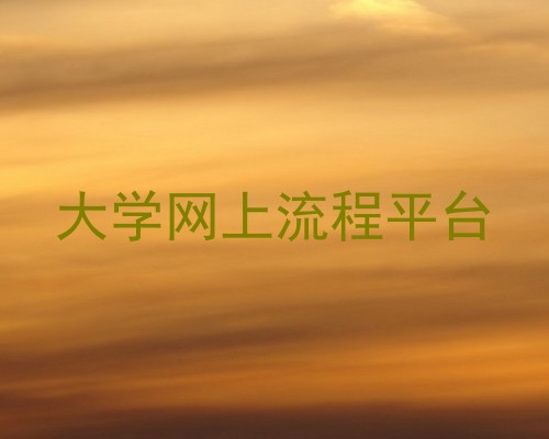 大学网上流程平台