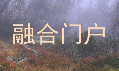 融合门户
