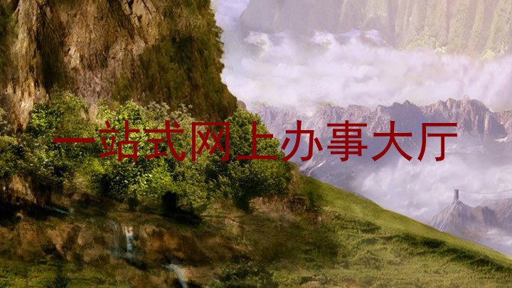 一站式网上办事大厅