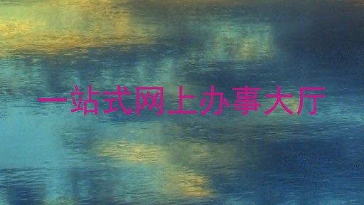 一站式网上办事大厅