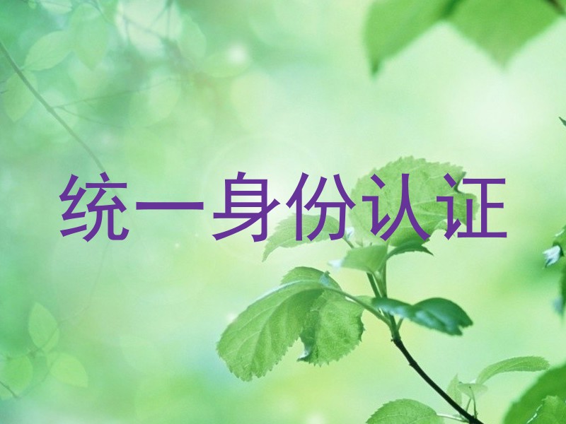 统一身份认证