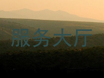 服务大厅