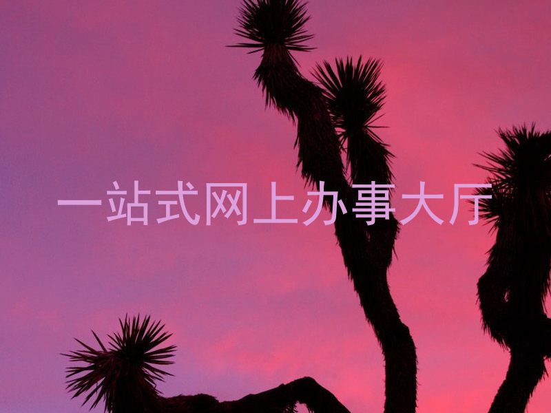 一站式网上办事大厅