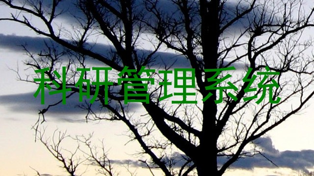 科研管理系统