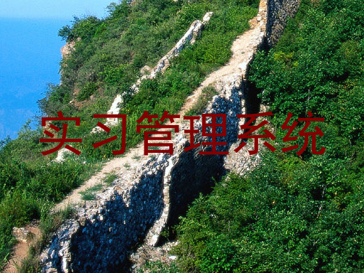 实习管理系统
