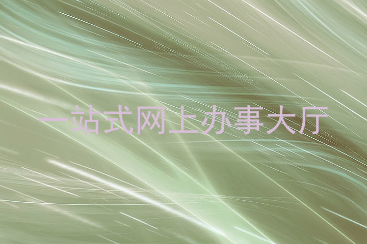 一站式网上办事大厅