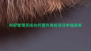 科研管理系统如何提升高校项目申报效率