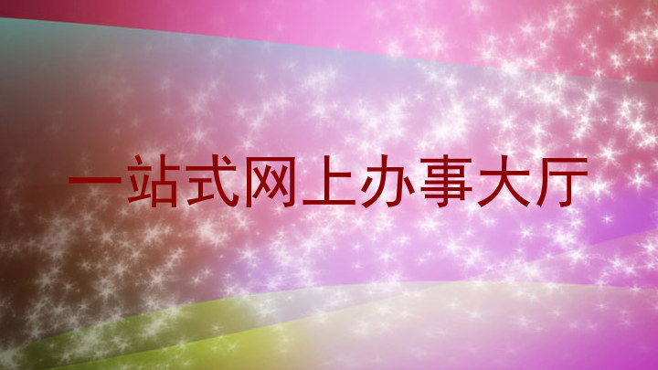 一站式网上办事大厅