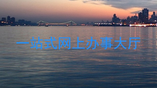 一站式网上办事大厅