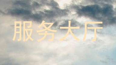 服务大厅