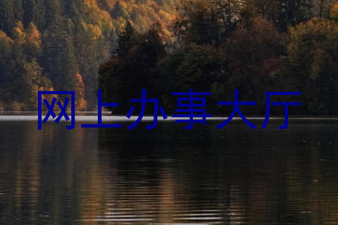 网上办事大厅