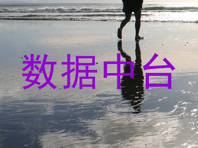 数据中台