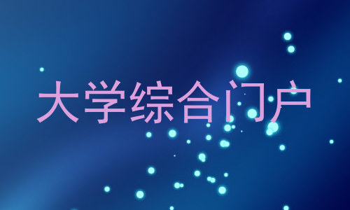 大学综合门户