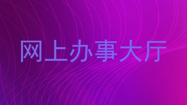 网上办事大厅