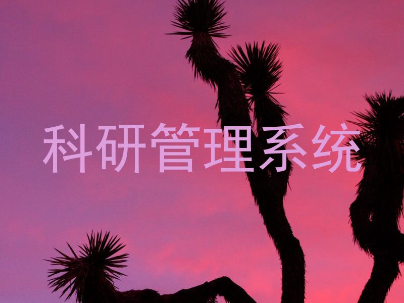 科研管理系统