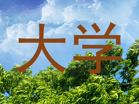 大学