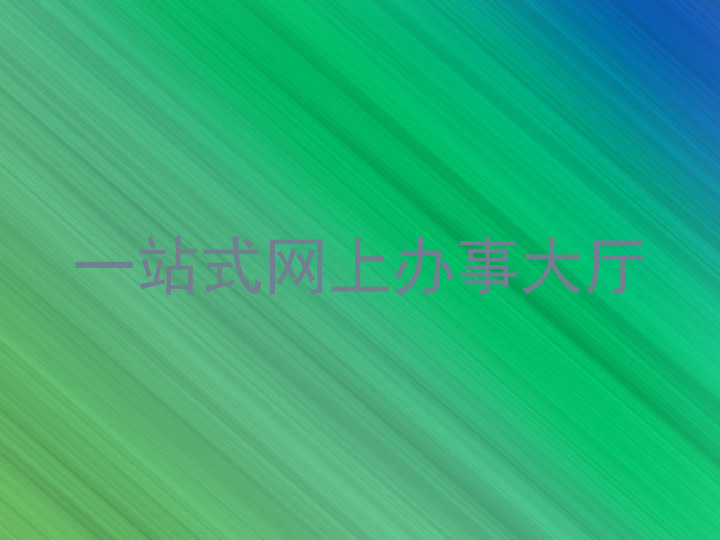 一站式网上办事大厅