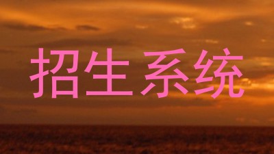 招生系统