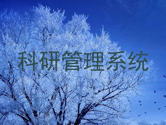 科研管理系统